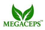 cropped cropped logo.png
